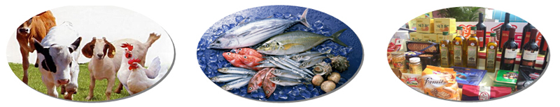 1512115304361337.jpg 8.jpg